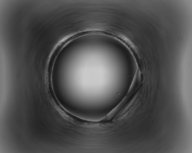 X0000084551072200703021501
