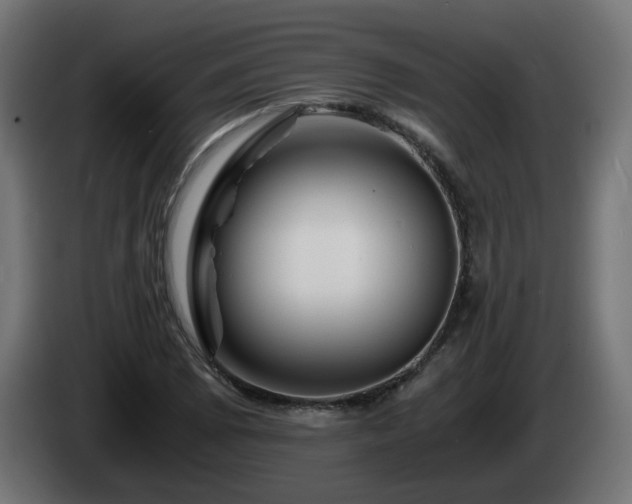 X0000084551073200703021501