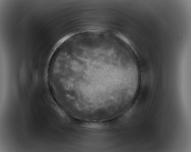 X0000084551074200703021501