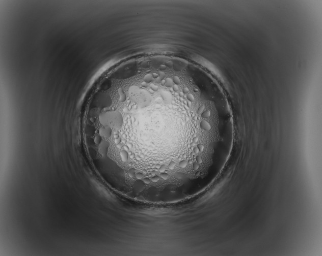 X0000084551075200703021501