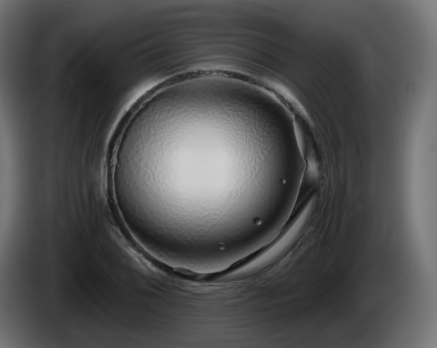 X0000084551076200703021501