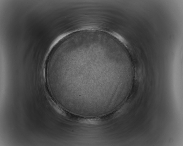 X0000084551078200703021501