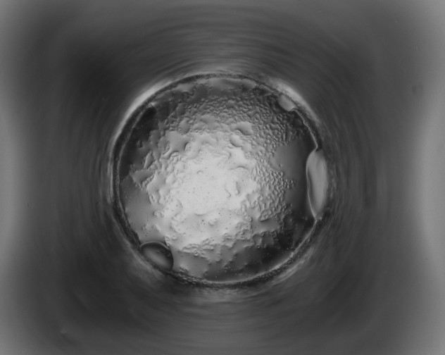 X0000084551079200703021501