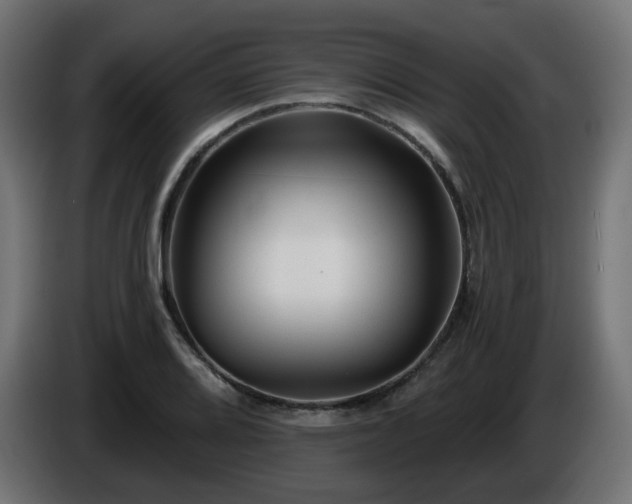 X0000084551080200703021501
