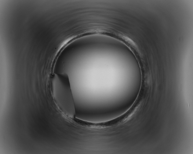 X0000084551081200703021501