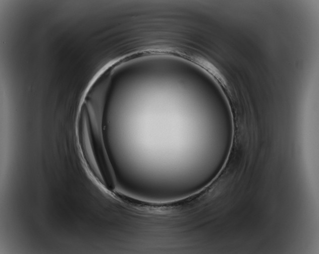 X0000084551084200703021500