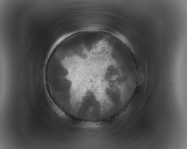 X0000084551086200703021500