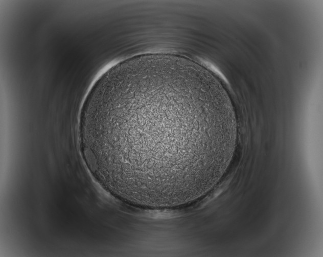 X0000084551087200703021500