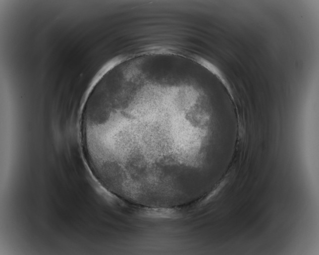 X0000084551090200703021500