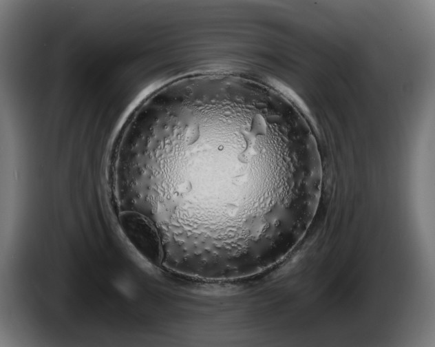 X0000084551091200703021500