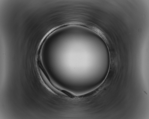 X0000084551092200703021500