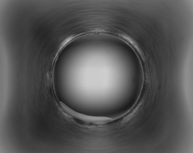 X0000084551097200703021500