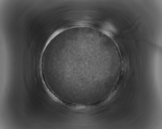 X0000084551098200703021500