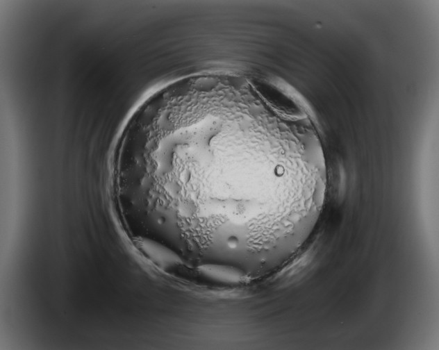 X0000084551099200703021500