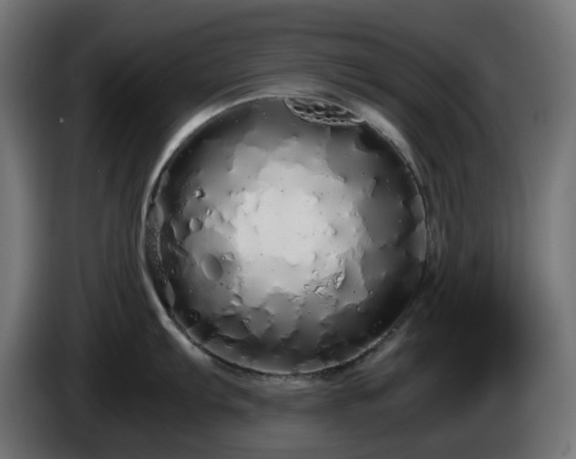 X0000084551103200703021500