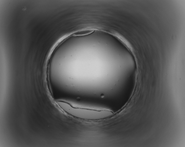 X0000084551104200703021500