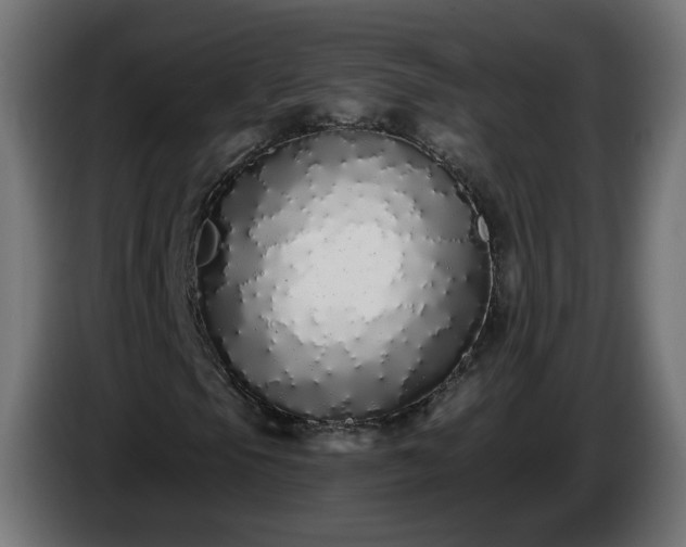 X0000084551105200703021459