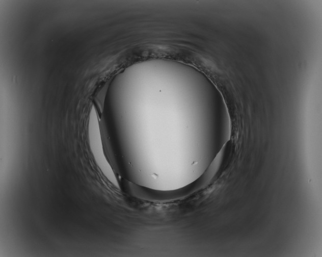 X0000084551109200703021500