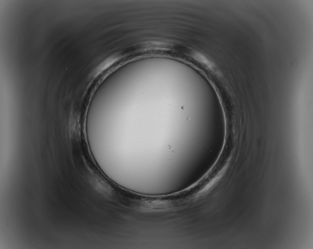 X0000084551113200703021500