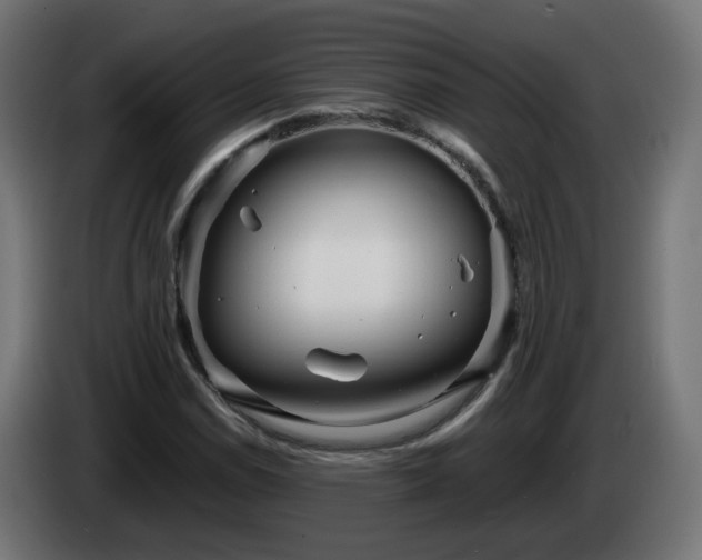 X0000084551114200703021500