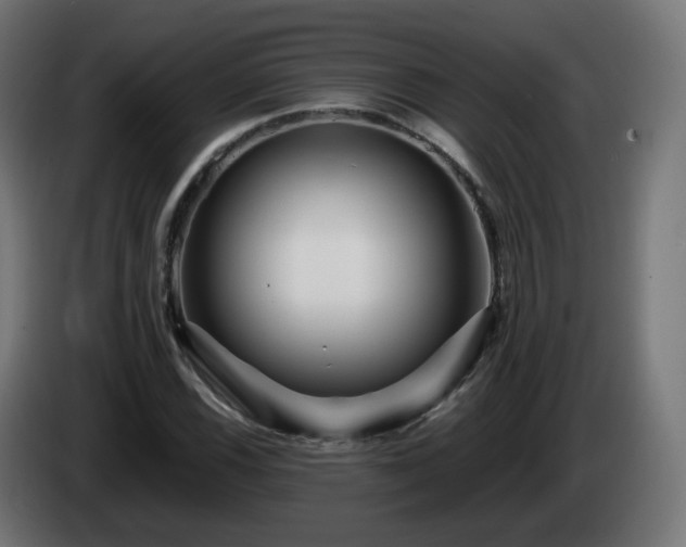 X0000084551116200703021500