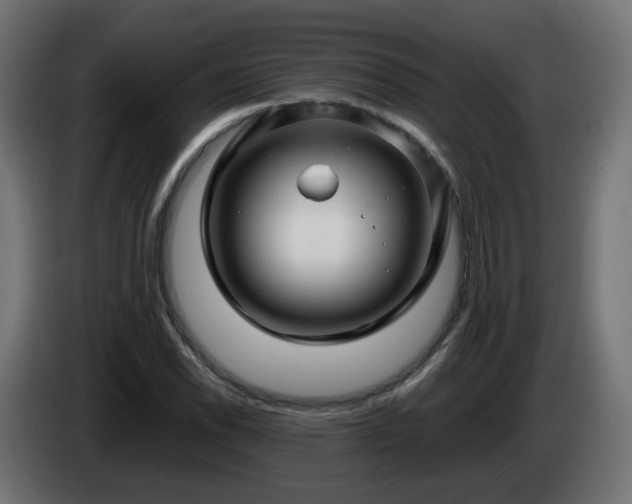 X0000084551118200703021500