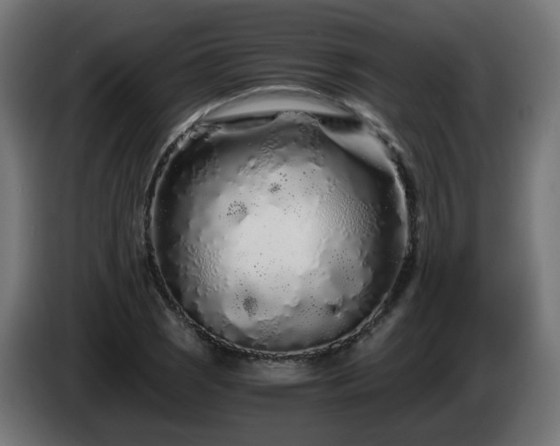 X0000084551121200703021500