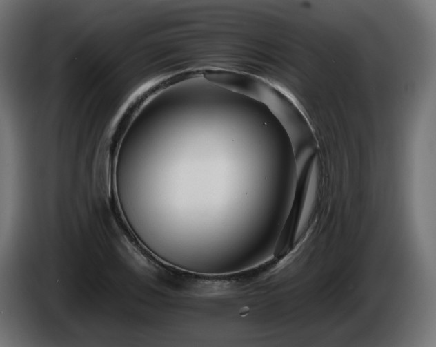 X0000084551123200703021500