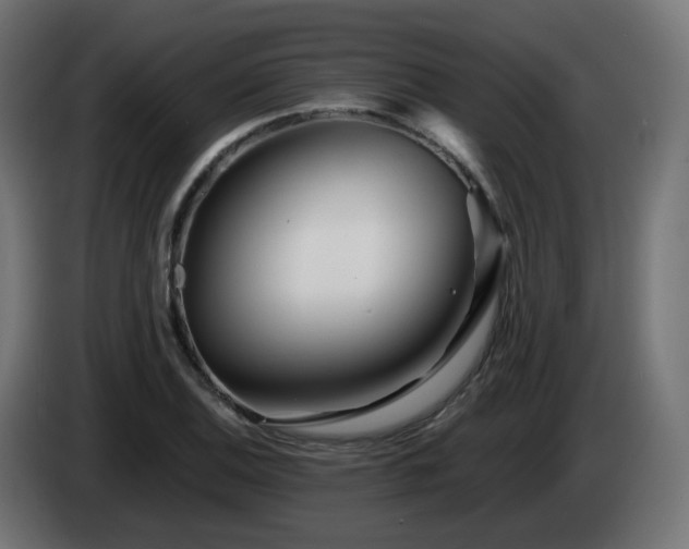 X0000084551124200703021500