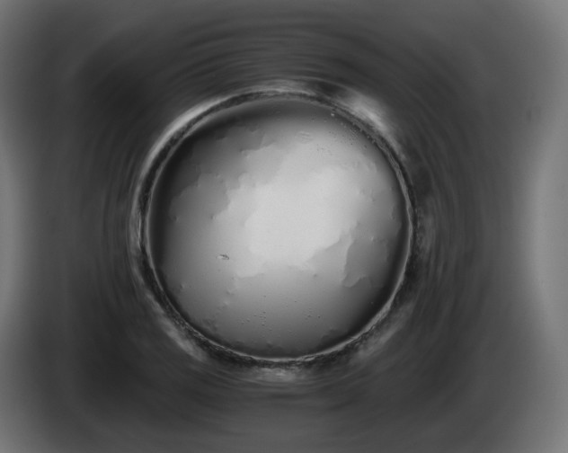 X0000084551125200703021500