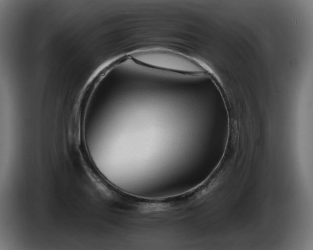 X0000084551127200703021500
