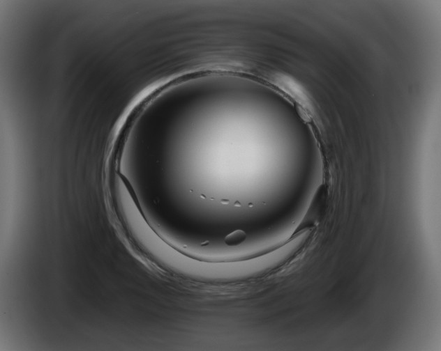 X0000084551128200703021500