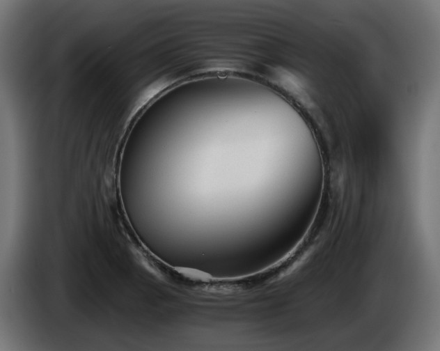 X0000084551129200703021500