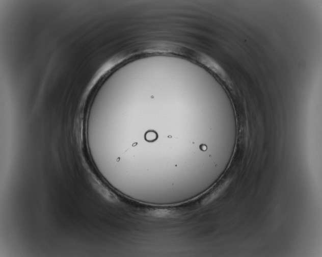 X0000084551130200703021500