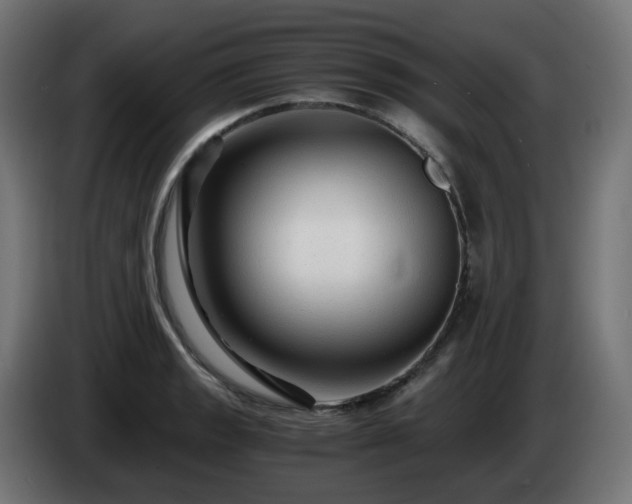 X0000084551133200703021500