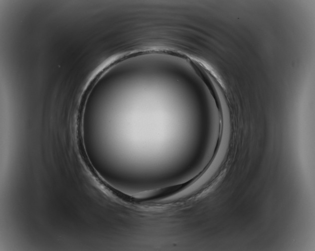 X0000084551134200703021500