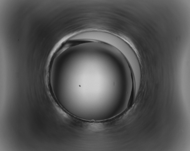 X0000084551136200703021500