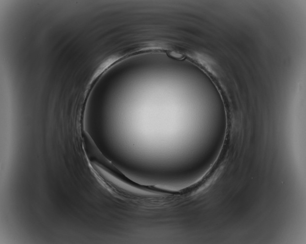 X0000084551137200703021500