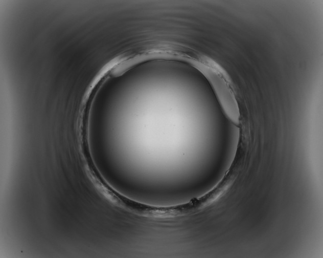 X0000084551138200703021500