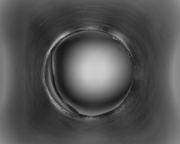 X0000084551139200703021500