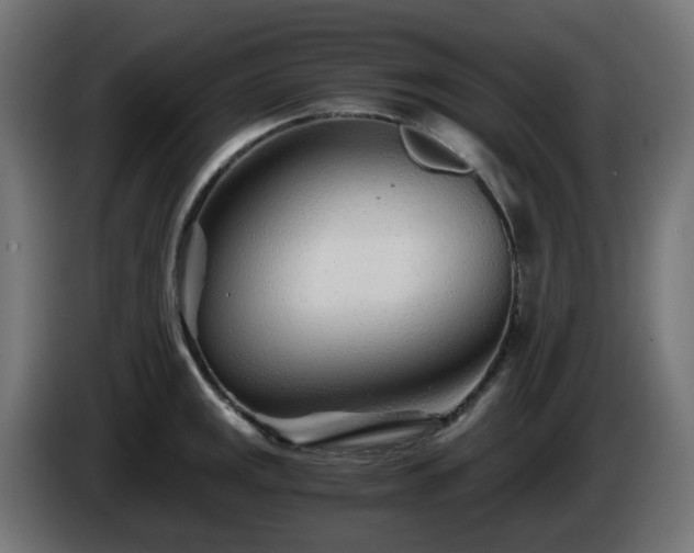 X0000084551141200703021500