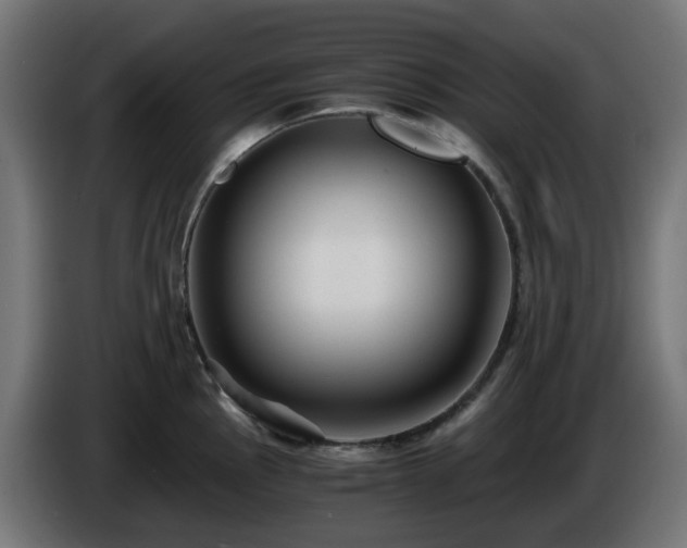 X0000084551145200703021500
