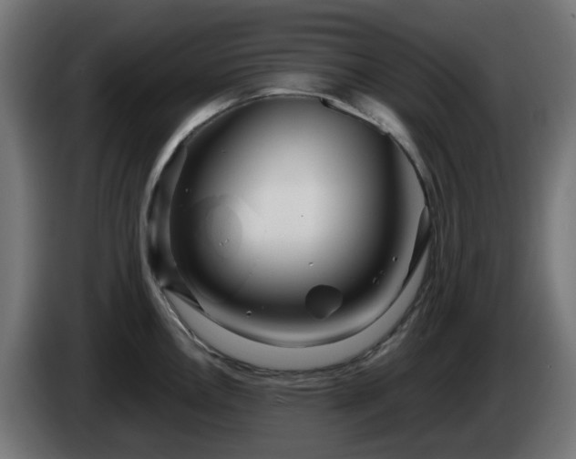 X0000084551146200703021500