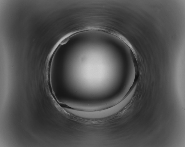 X0000084551148200703021500