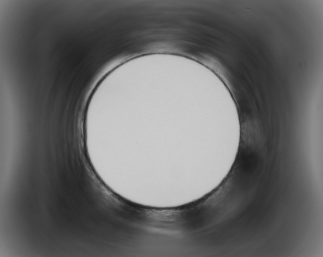 X0000084551150200703021500