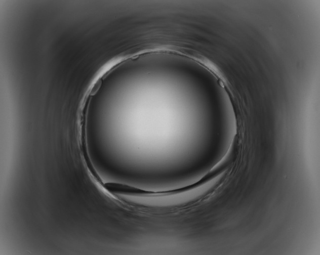 X0000084551151200703021500