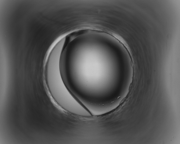 X0000084551152200703021500