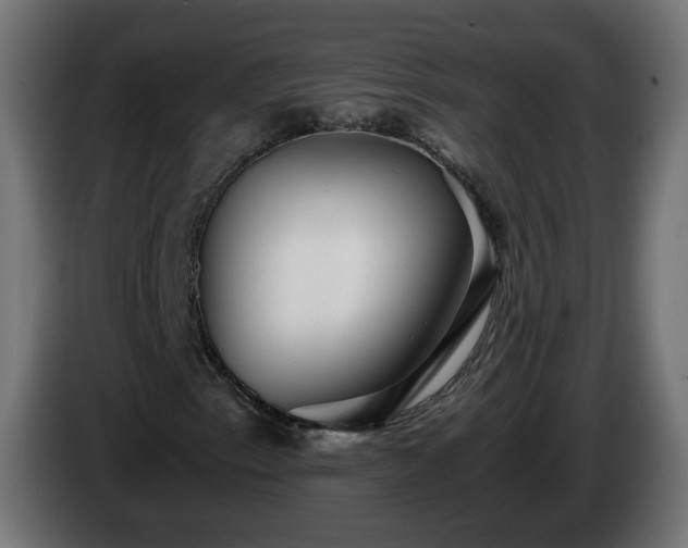 X0000084551153200703021459