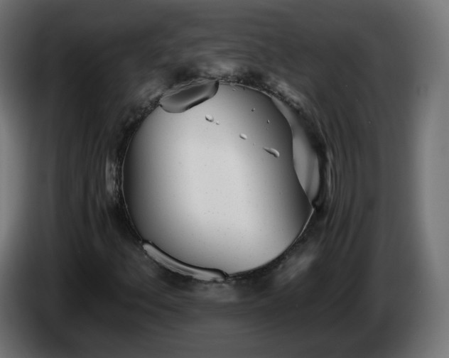 X0000084551156200703021459