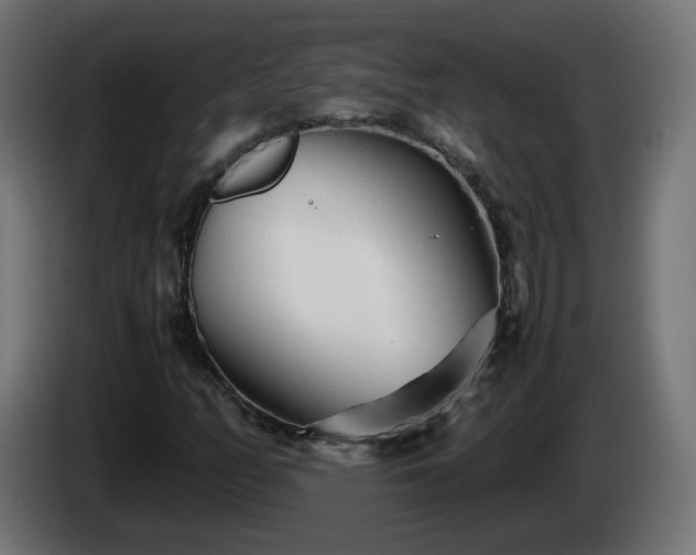 X0000084551158200703021459